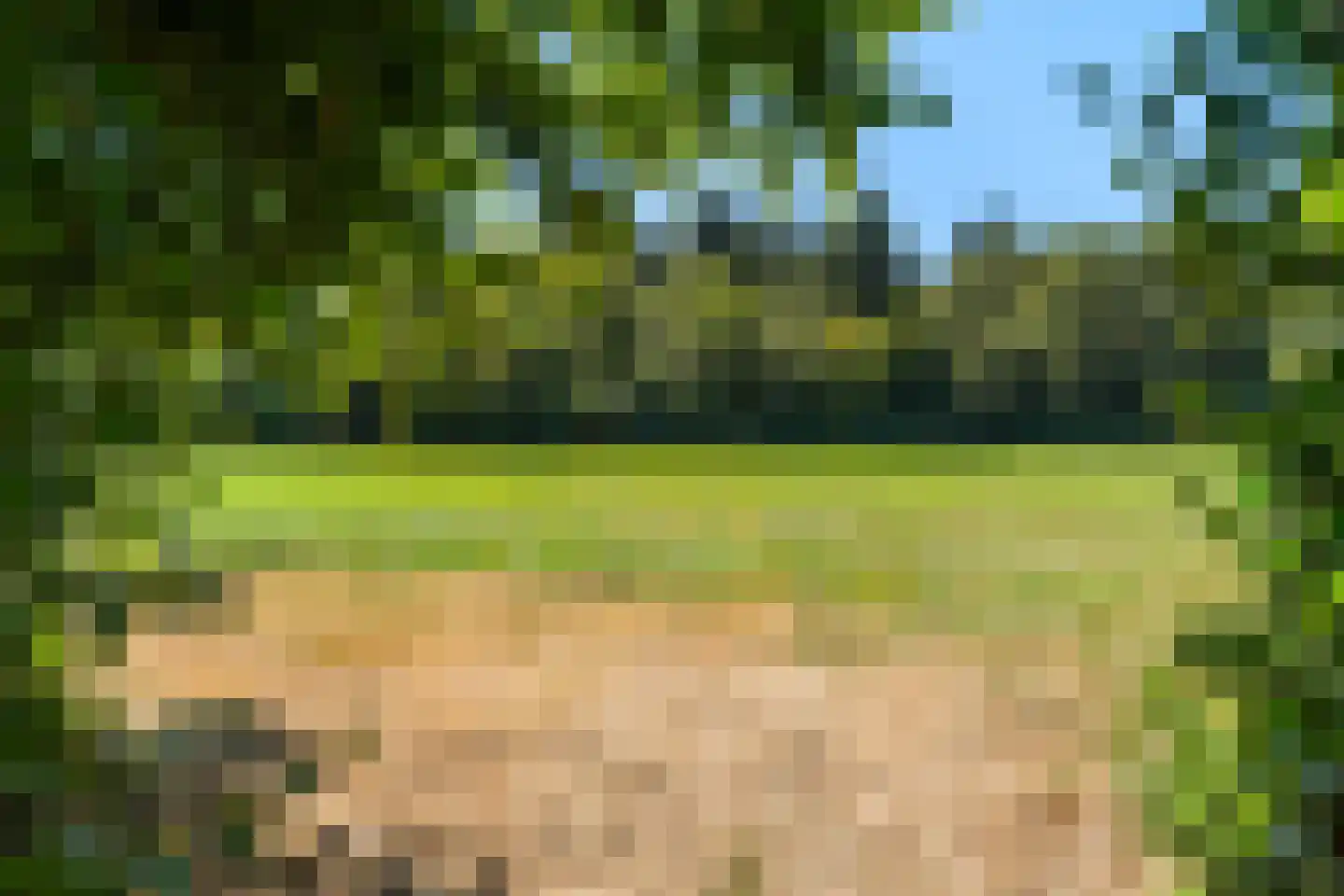 Jan Kreeftweg 5 Hollandscheveld thumbnail 4