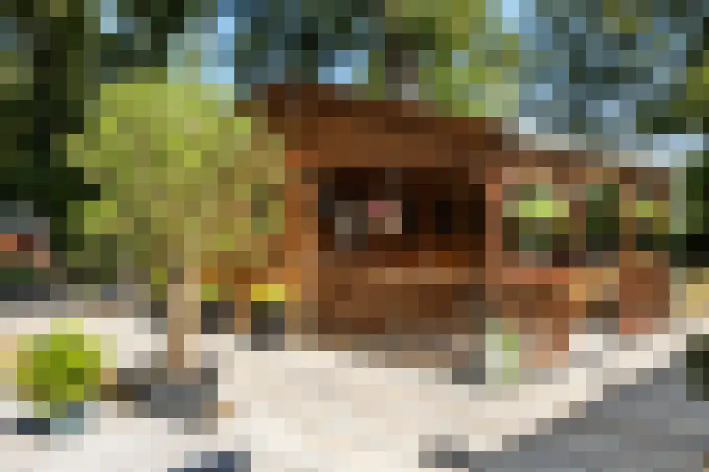 Jan Kreeftweg 5 Hollandscheveld thumbnail 41