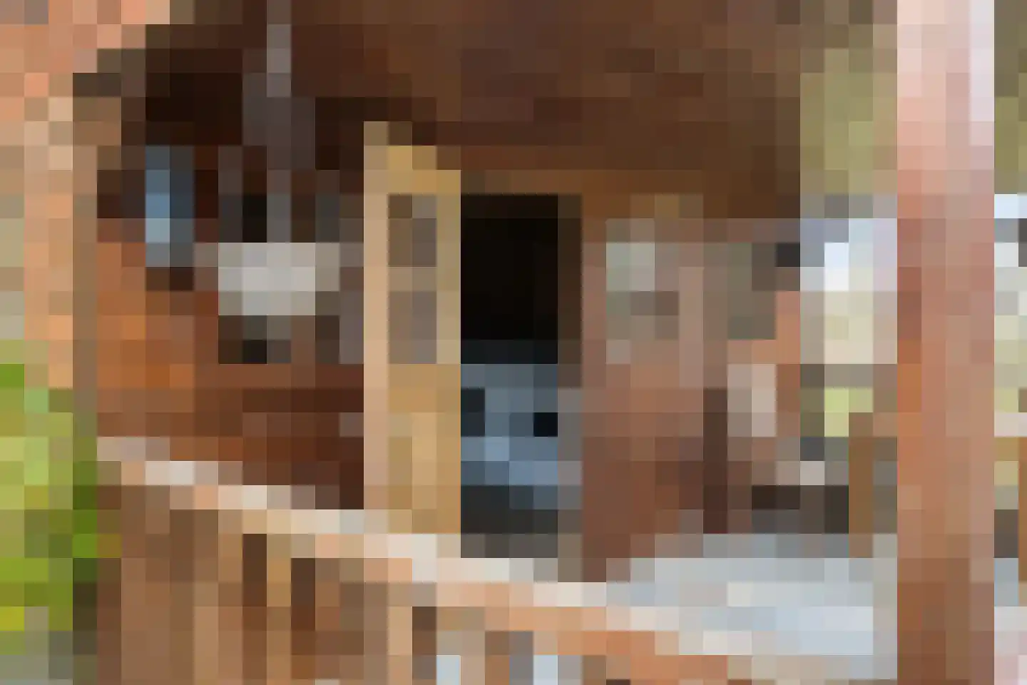 Jan Kreeftweg 5 Hollandscheveld thumbnail 42