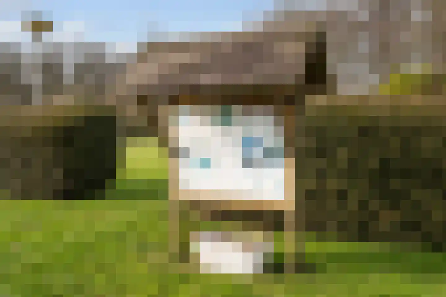 Jan Kreeftweg 5 Hollandscheveld thumbnail 43