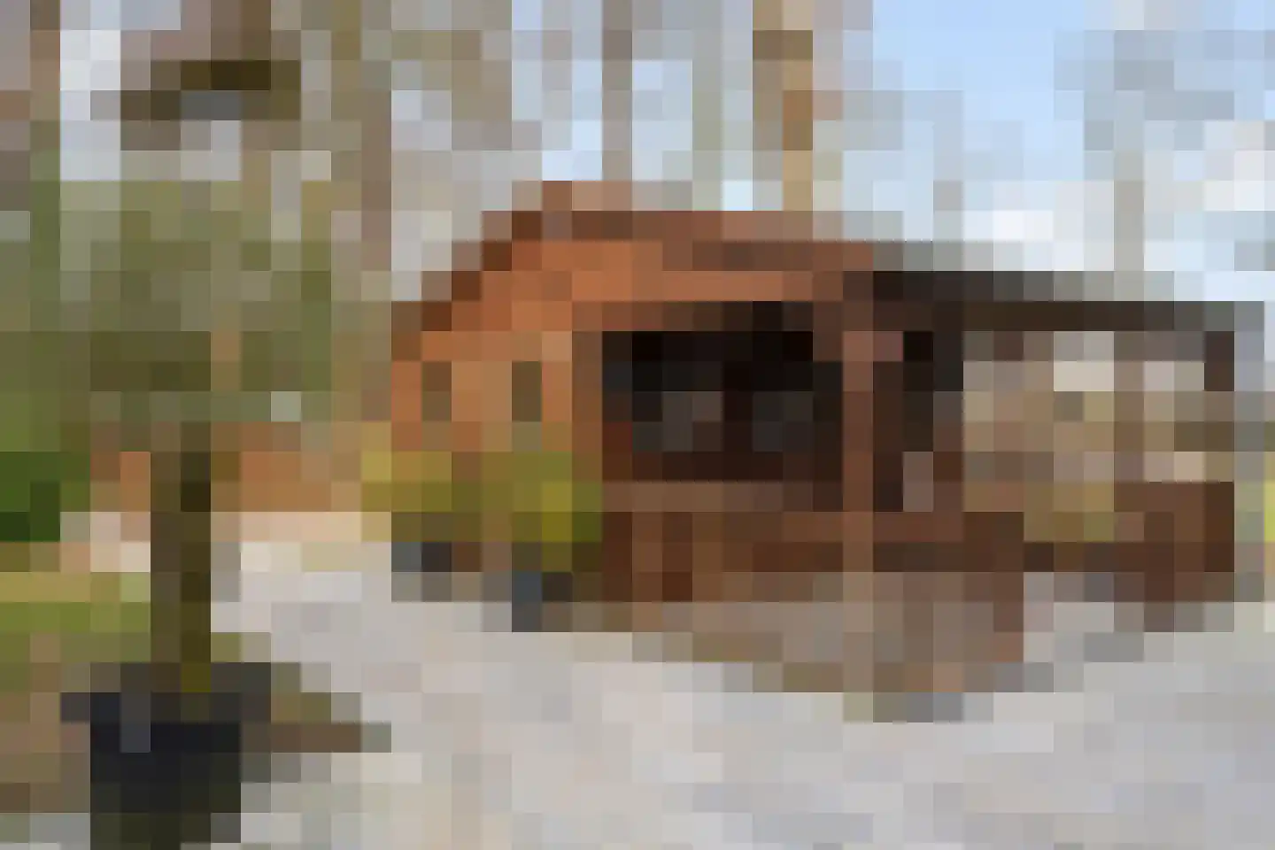 Jan Kreeftweg 5 Hollandscheveld thumbnail 43