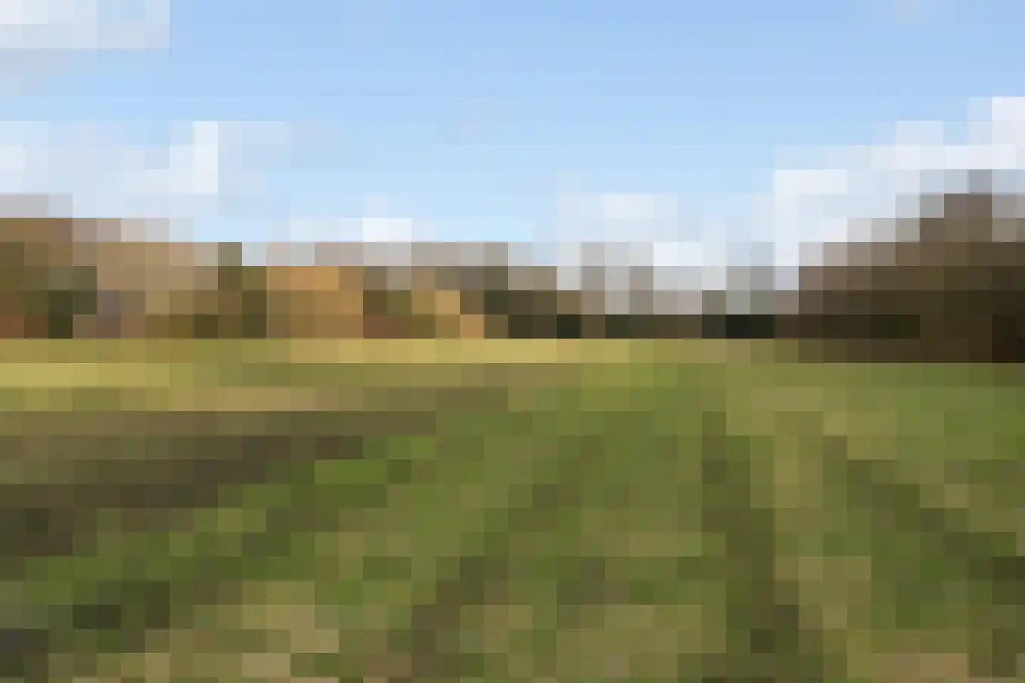 Jan Kreeftweg 5 Hollandscheveld thumbnail 50