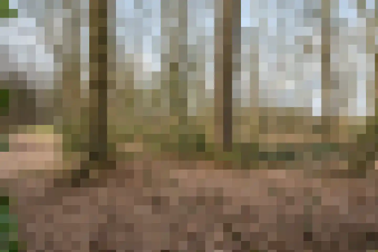 Jan Kreeftweg 5 Hollandscheveld thumbnail 51