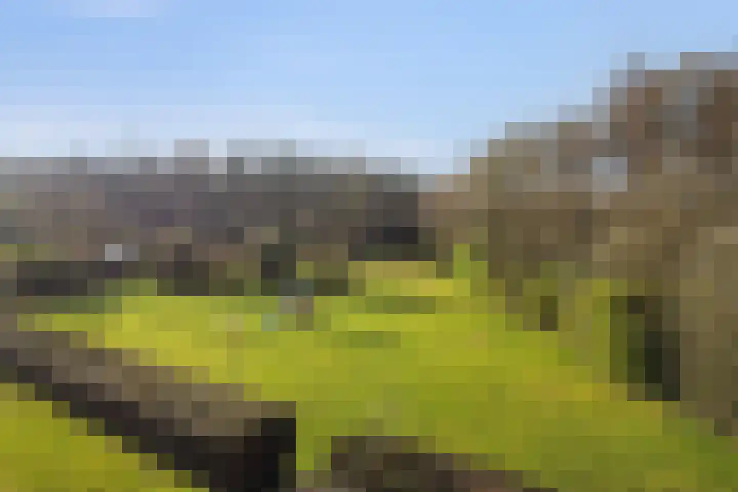 Jan Kreeftweg 5 Hollandscheveld thumbnail 53