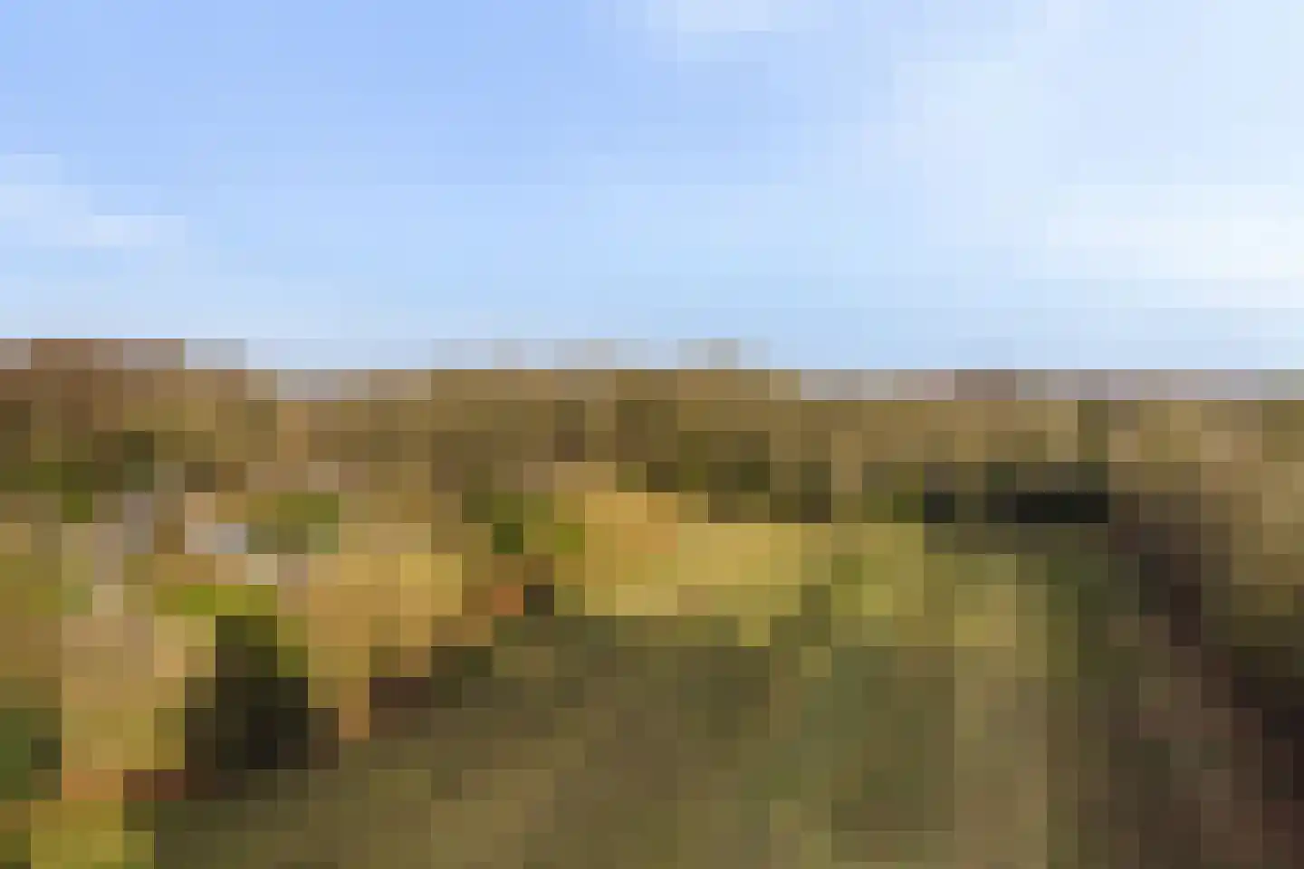 Jan Kreeftweg 5 Hollandscheveld thumbnail 56