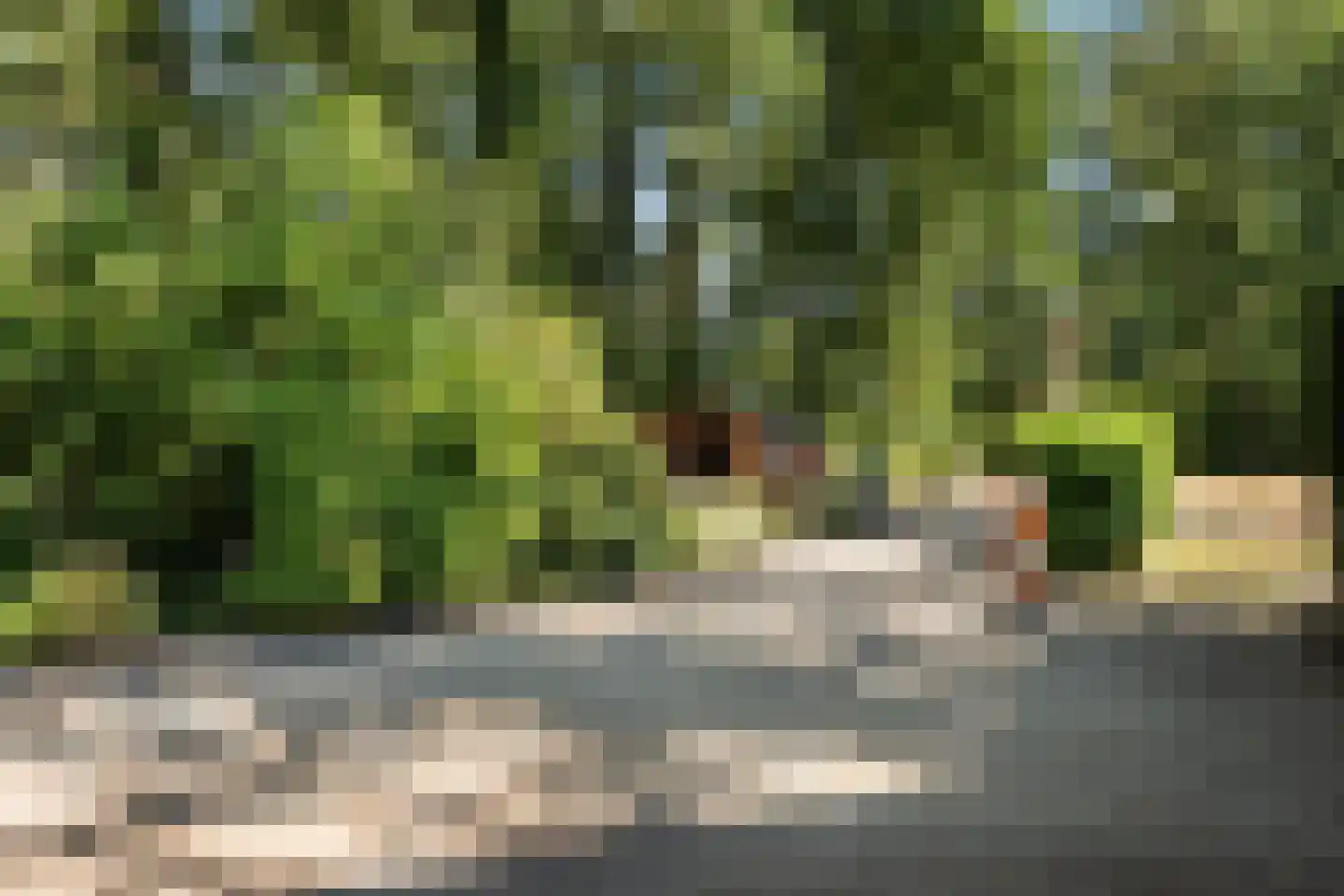 Jan Kreeftweg 5 Hollandscheveld thumbnail 57