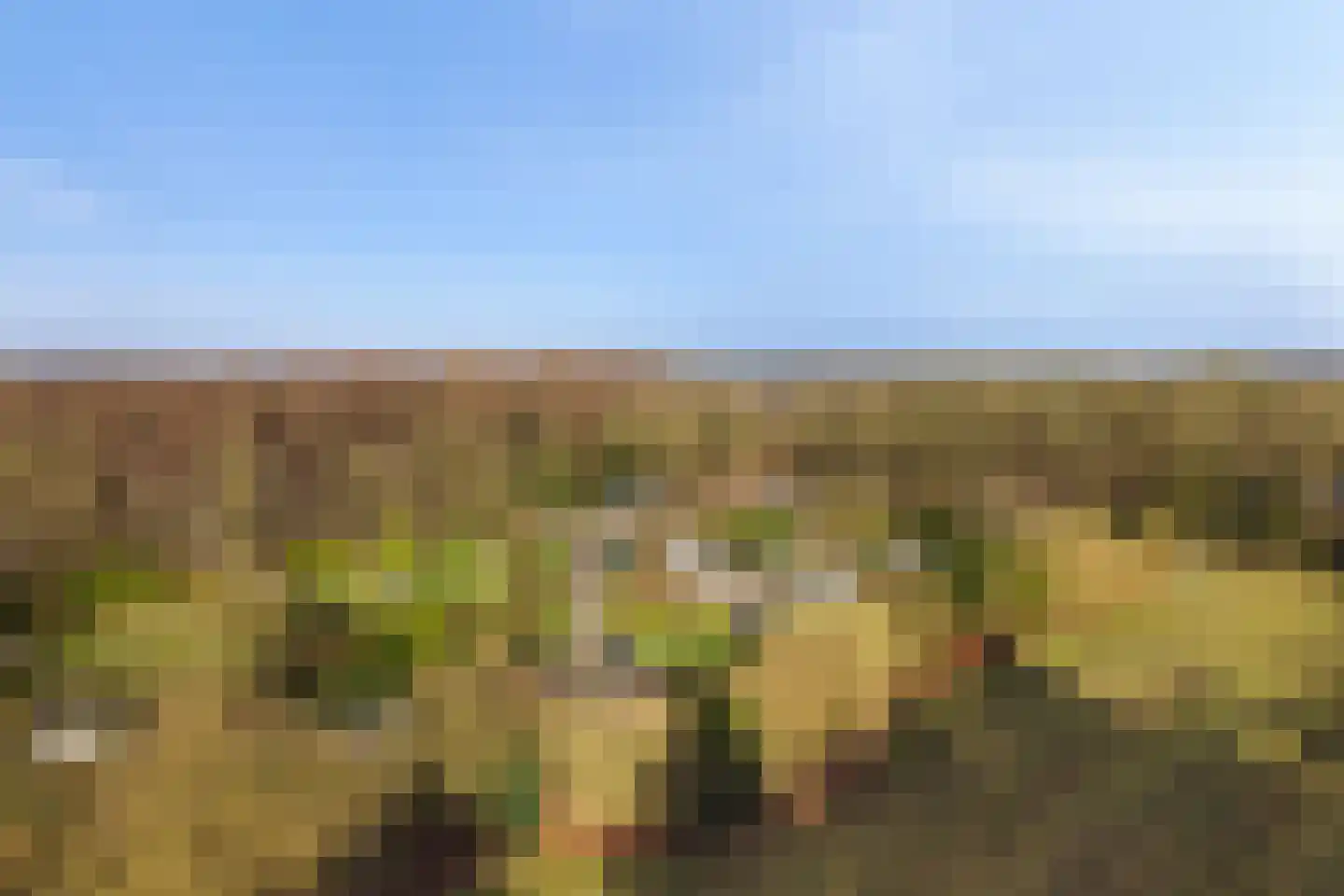 Jan Kreeftweg 5 Hollandscheveld thumbnail 57