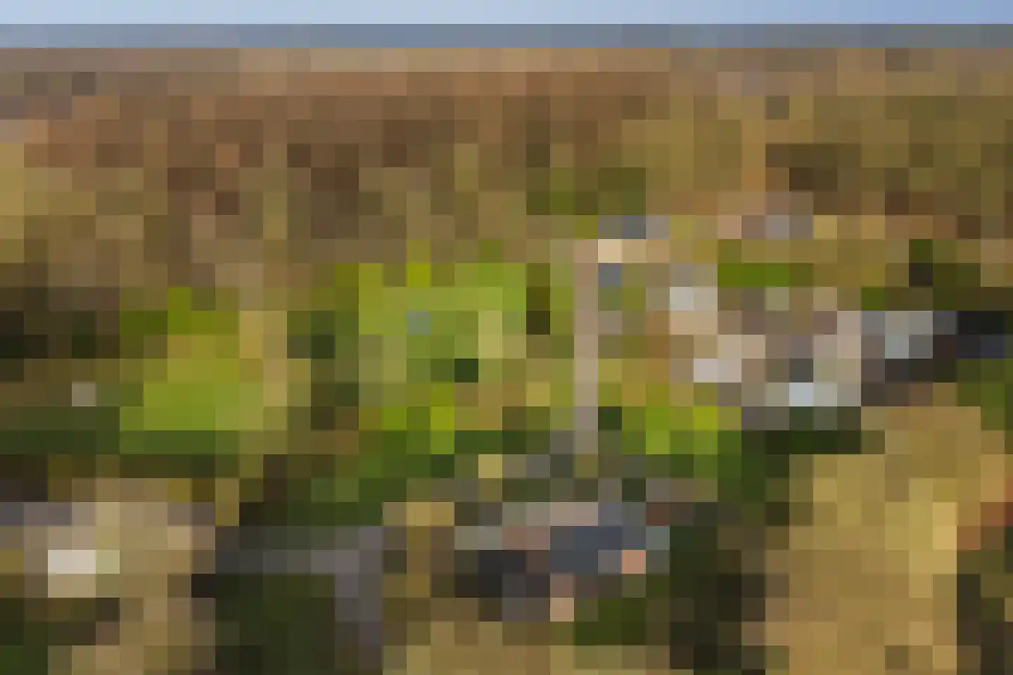 Jan Kreeftweg 5 Hollandscheveld thumbnail 58