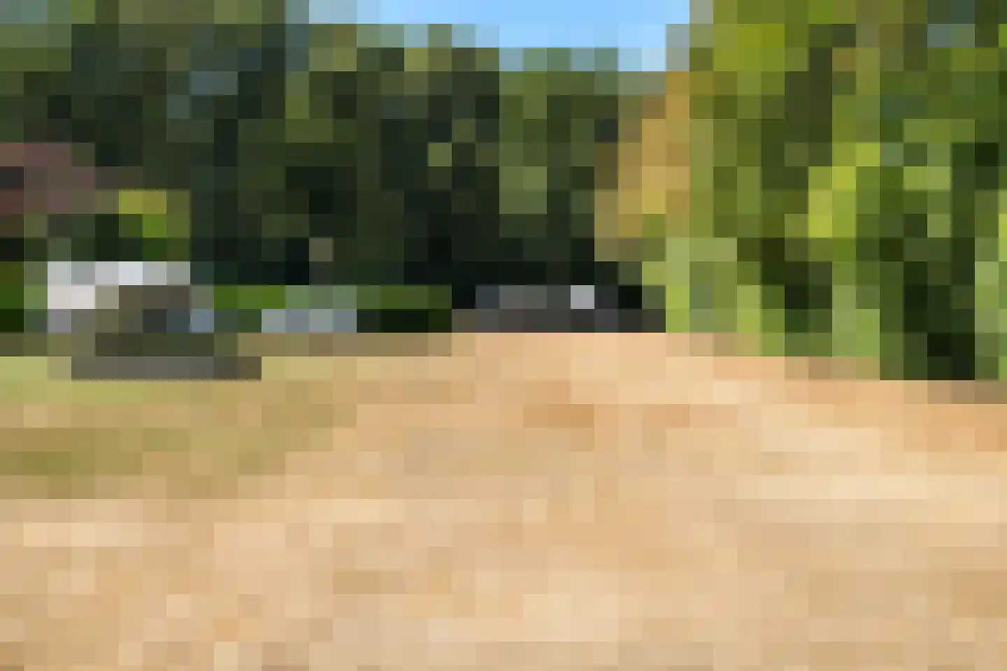 Jan Kreeftweg 5 Hollandscheveld thumbnail 59