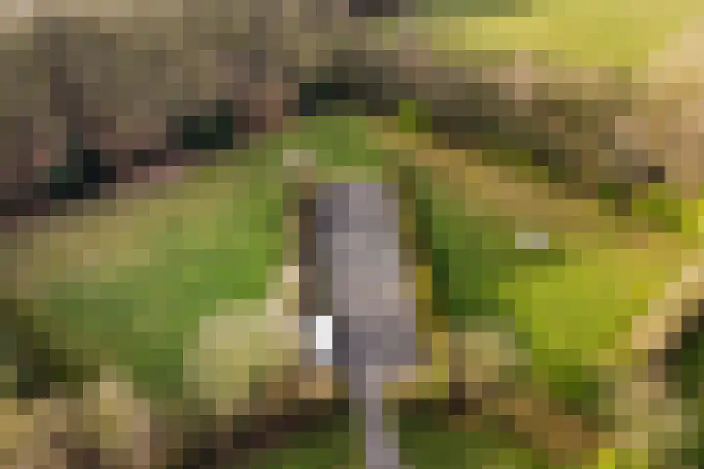 Jan Kreeftweg 5 Hollandscheveld thumbnail 60