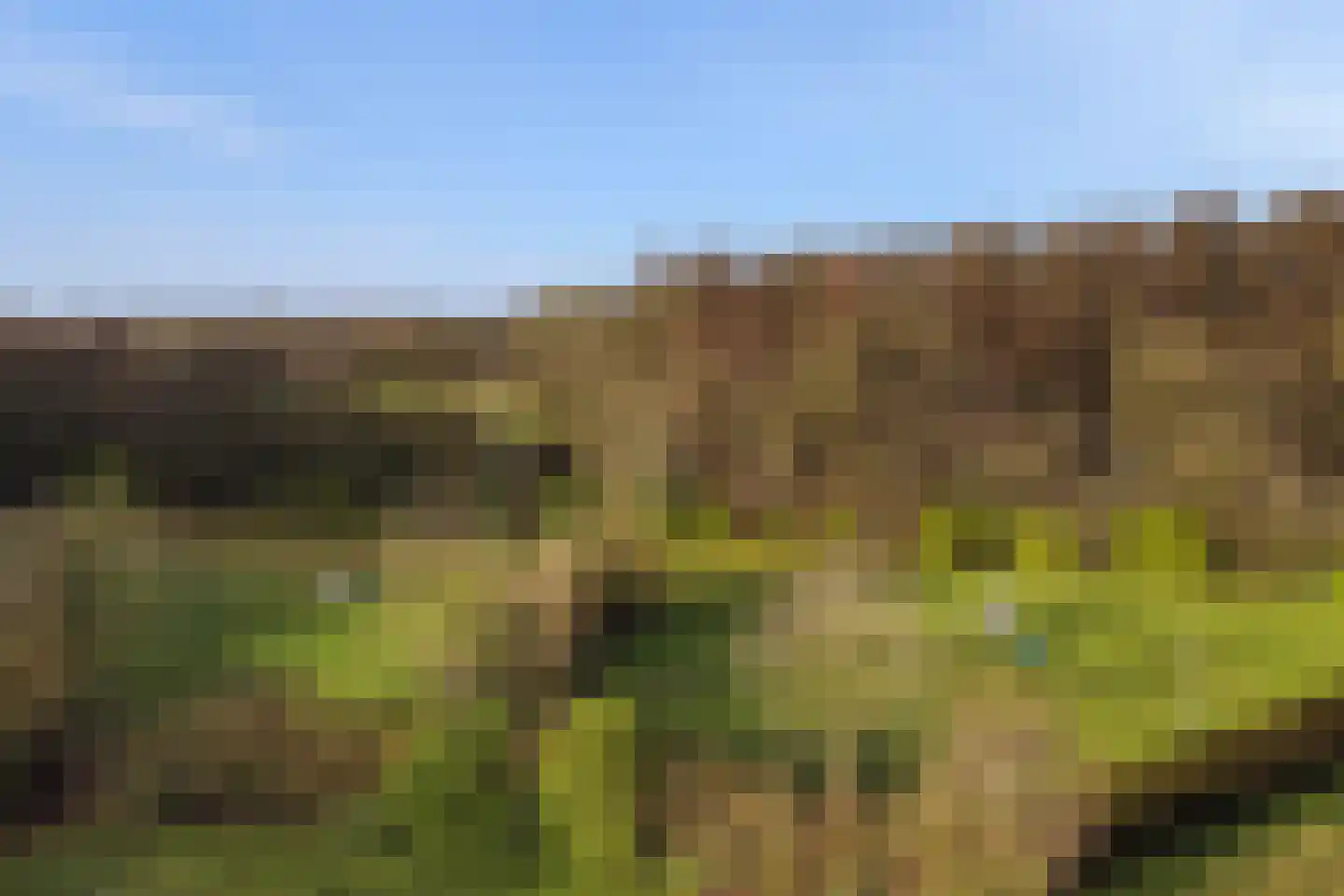 Jan Kreeftweg 5 Hollandscheveld thumbnail 61