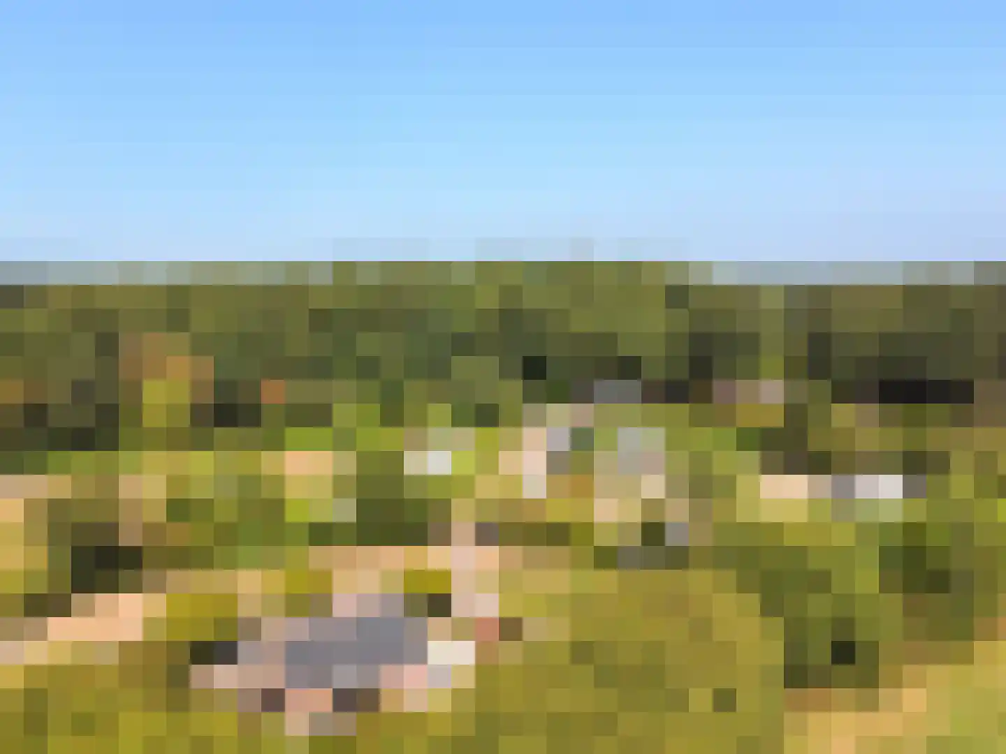 Jan Kreeftweg 5 Hollandscheveld thumbnail 61