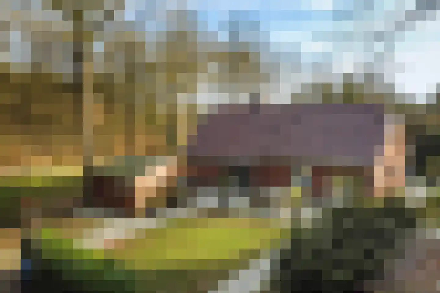 Jan Kreeftweg 5 Hollandscheveld thumbnail 62
