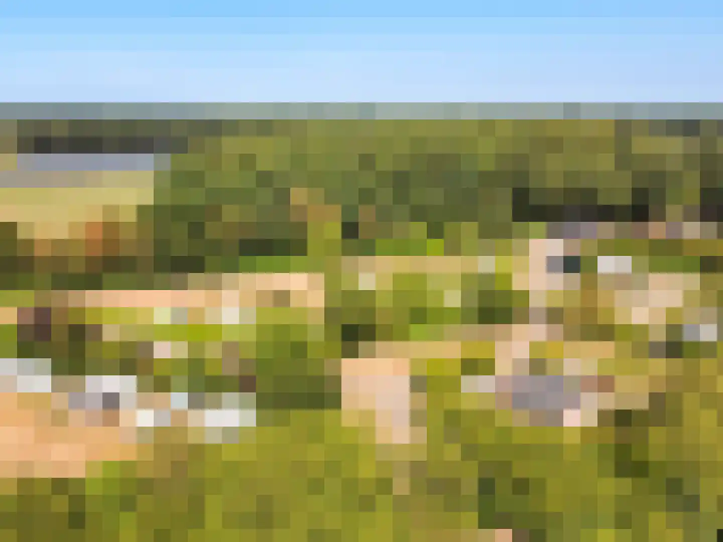 Jan Kreeftweg 5 Hollandscheveld thumbnail 64