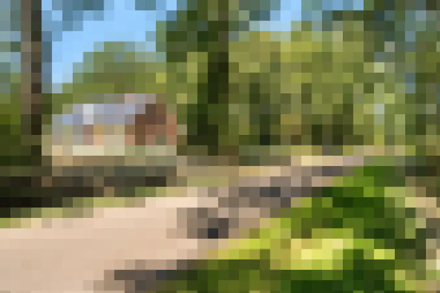 Jan Kreeftweg 5 Hollandscheveld thumbnail 67