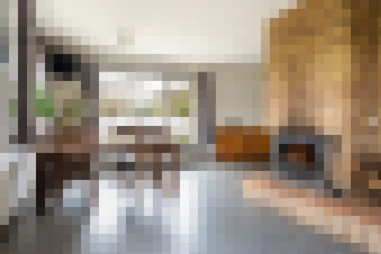 Jan Kreeftweg 5 Hollandscheveld thumbnail 8
