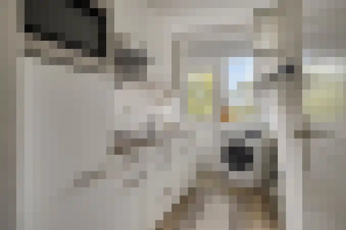 Jan Krusemanstraat 22 Rosmalen thumbnail 8