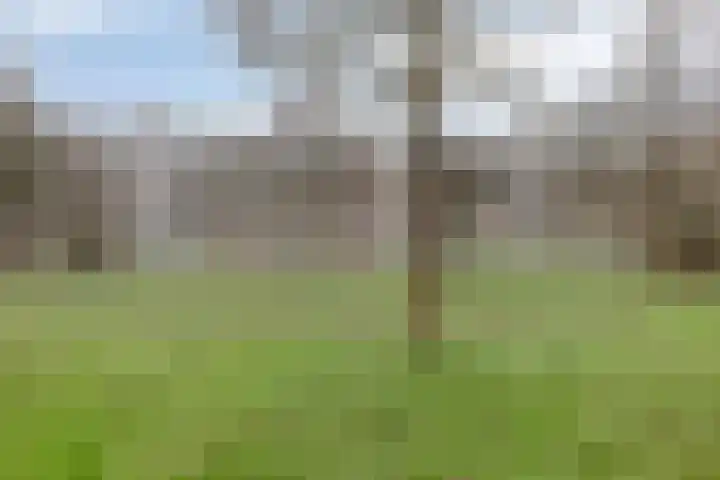 Jan Krusemanstraat 6 Rosmalen thumbnail 24