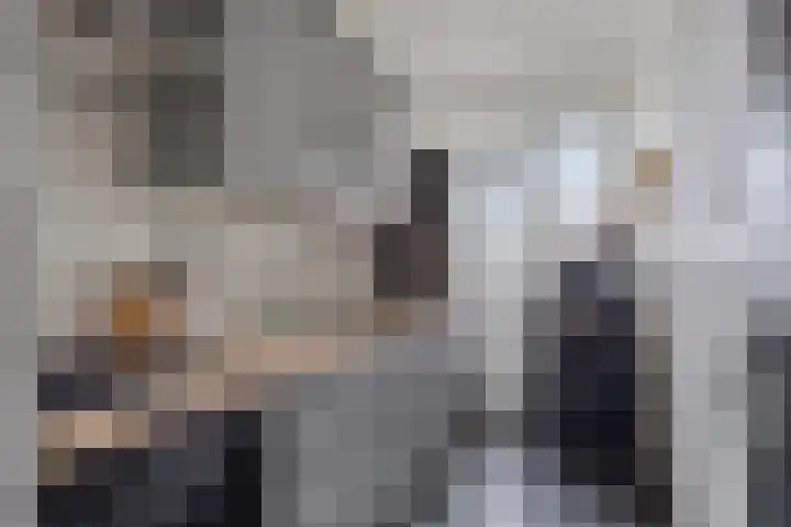 Jan Krusemanstraat 6 Rosmalen thumbnail 6