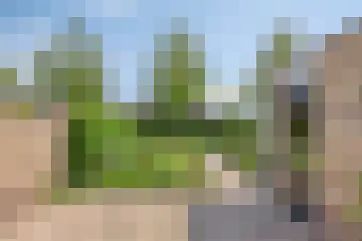 Jan Landmanstraat 6 Zwartebroek thumbnail 22