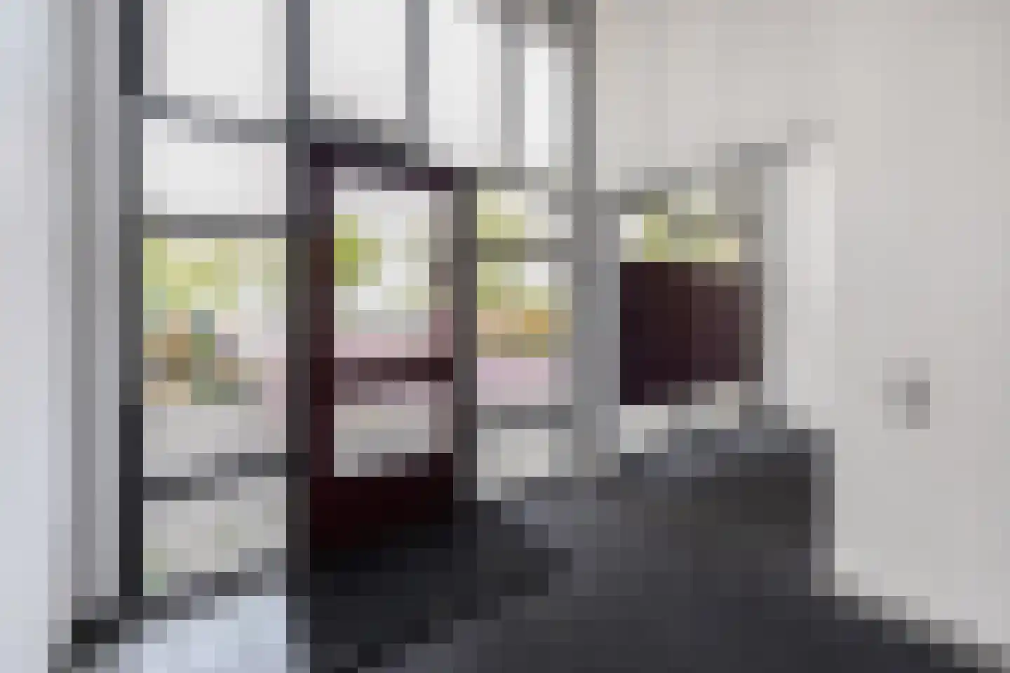 Jan Le Griepstraat 78 Den Haag thumbnail 10