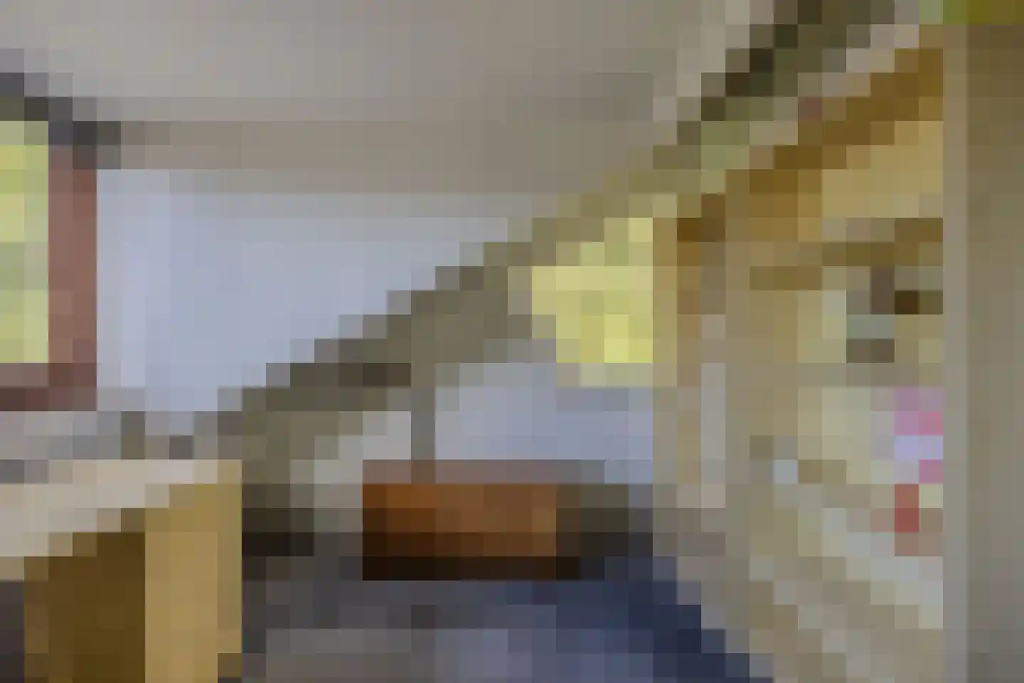 Jan Leijenlaan 15 Bergen (NH) thumbnail 31