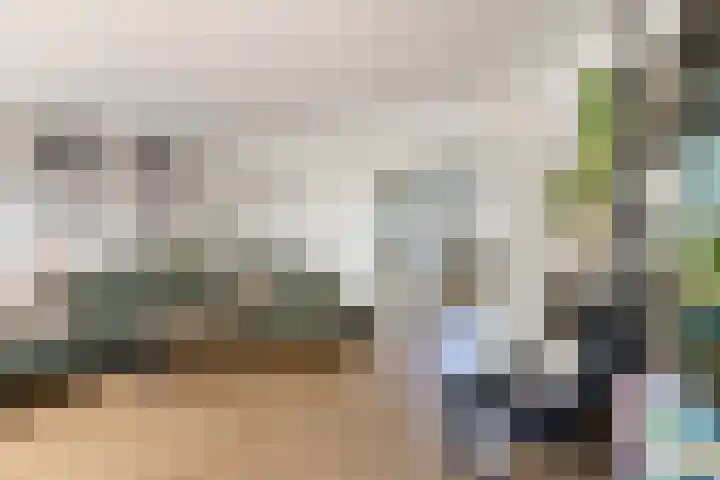 Jan Lelimanhof 4 Amsterdam thumbnail 12