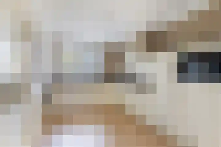 Jan Lelimanhof 4 Amsterdam thumbnail 19