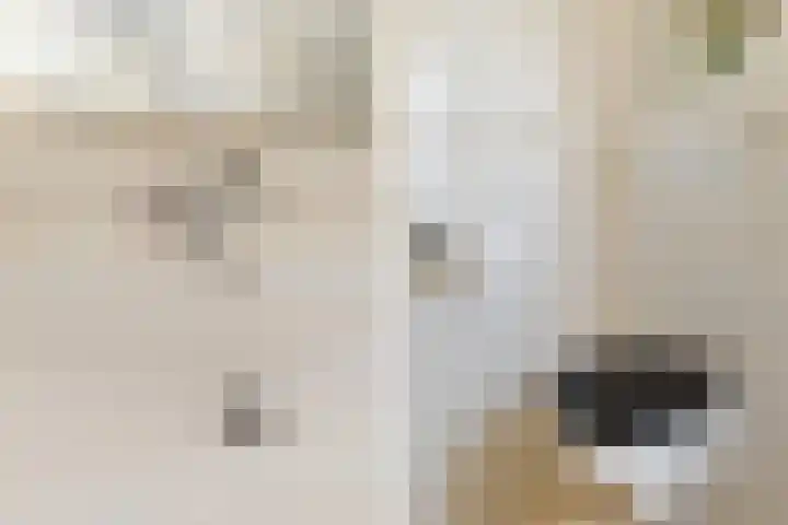 Jan Lelimanhof 4 Amsterdam thumbnail 36