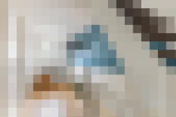 Jan Lelimanhof 4 Amsterdam thumbnail 37