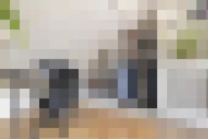 Jan Lelimanhof 4 Amsterdam thumbnail 43