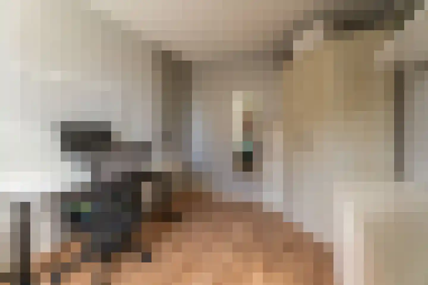 Jan Lievensplantsoen 5 Rijnsburg thumbnail 17