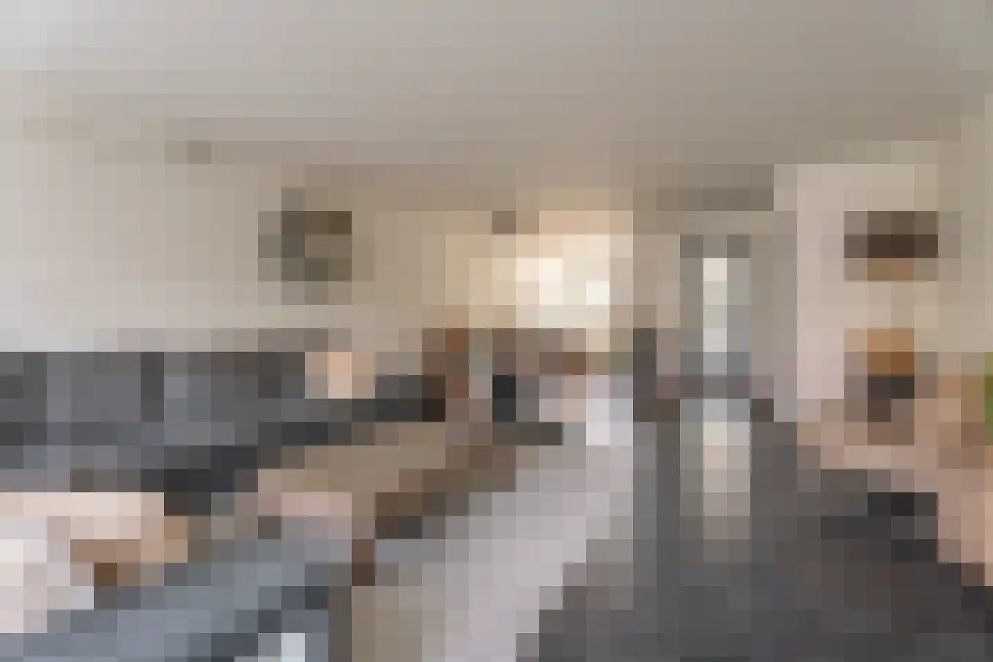 Jan Lievensplantsoen 5 Rijnsburg thumbnail 4