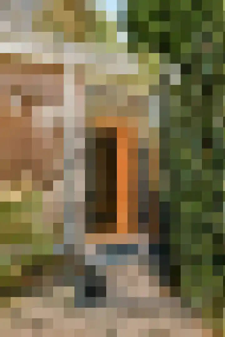 Jan Lievensstraat 1 Amsterdam thumbnail 22
