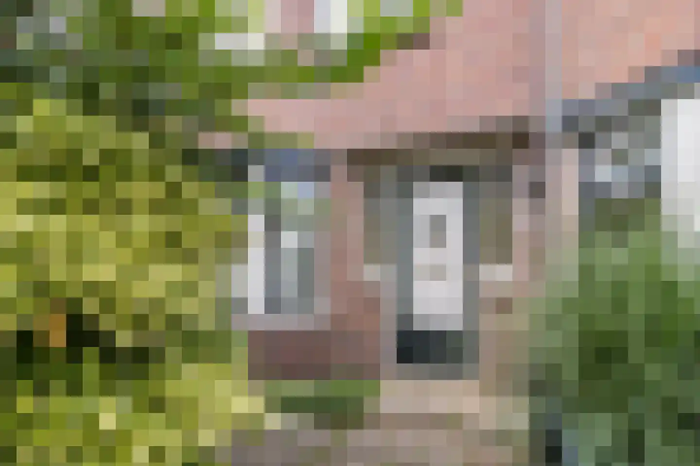 Jan Lievensstraat 34 Leiden thumbnail 5