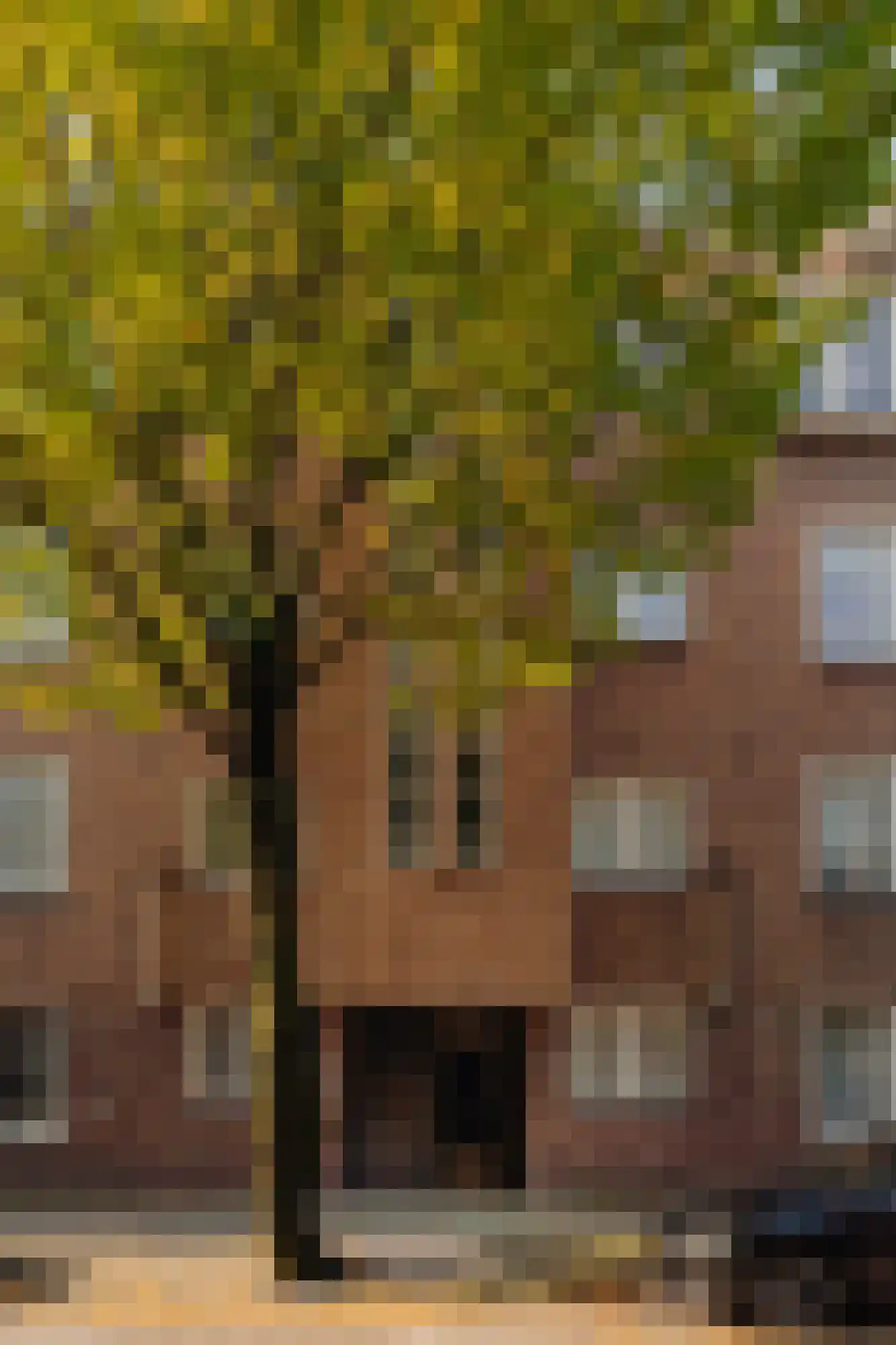 Jan Lievensstraat 48 2 Amsterdam