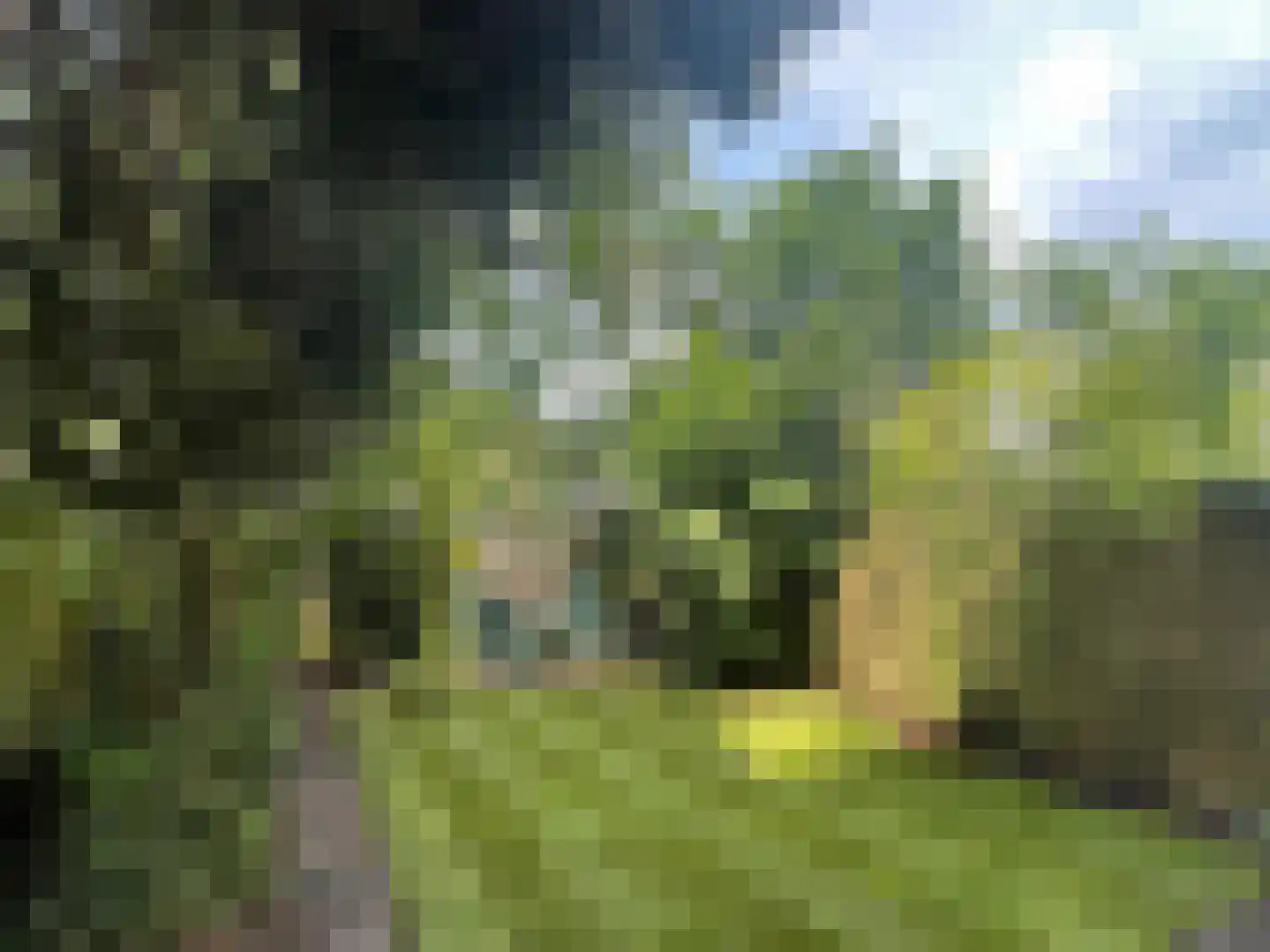 Jan Ligthartplein 13 Zeist thumbnail 20