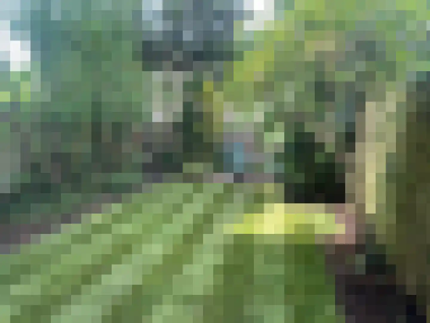 Jan Ligthartplein 13 Zeist thumbnail 21