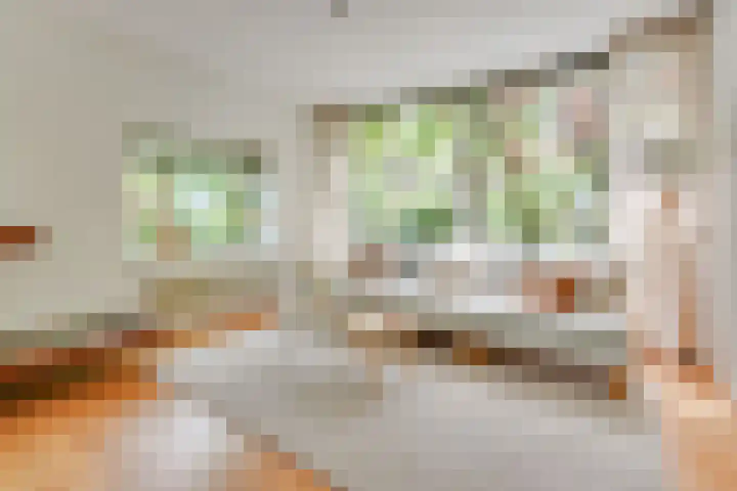Jan Ligthartplein 13 Zeist thumbnail 6