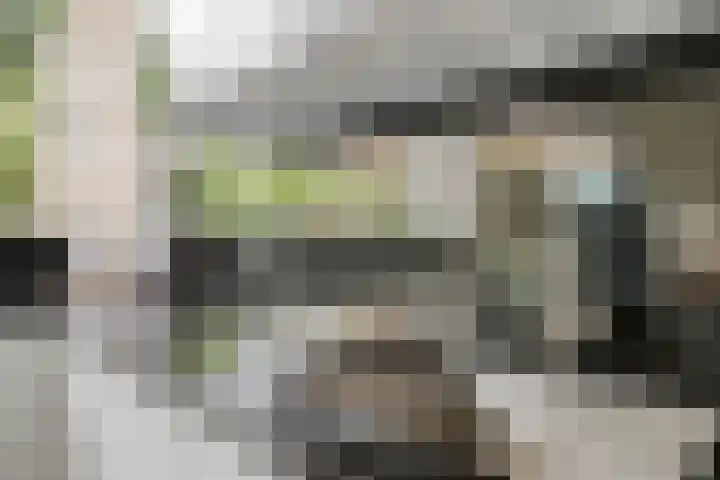 Jan Ligthartplein 4 Zeist thumbnail 14