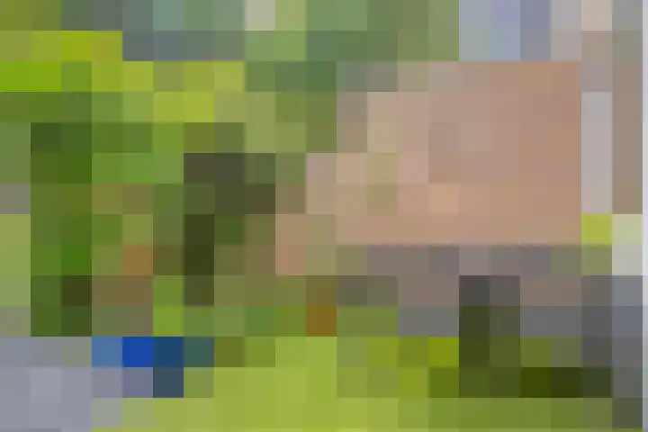 Jan Ligthartplein 4 Zeist thumbnail 34