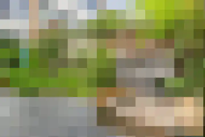 Jan Ligthartplein 4 Zeist thumbnail 37