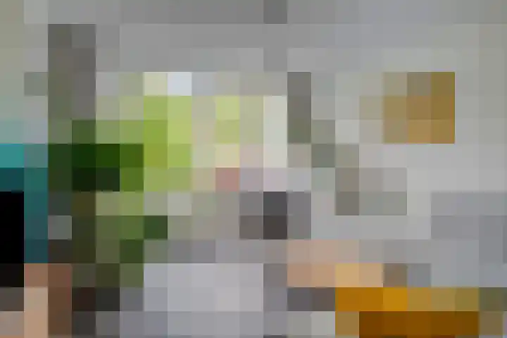 Jan Ligthartplein 4 Zeist thumbnail 4