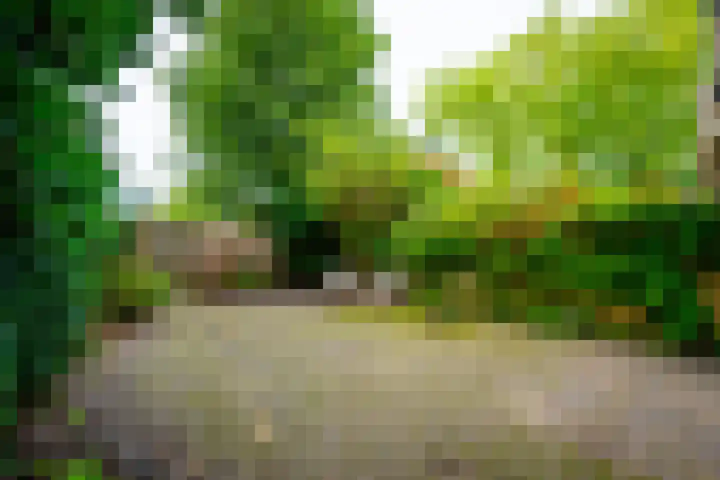 Jan Ligthartplein 51 Zeist thumbnail 30
