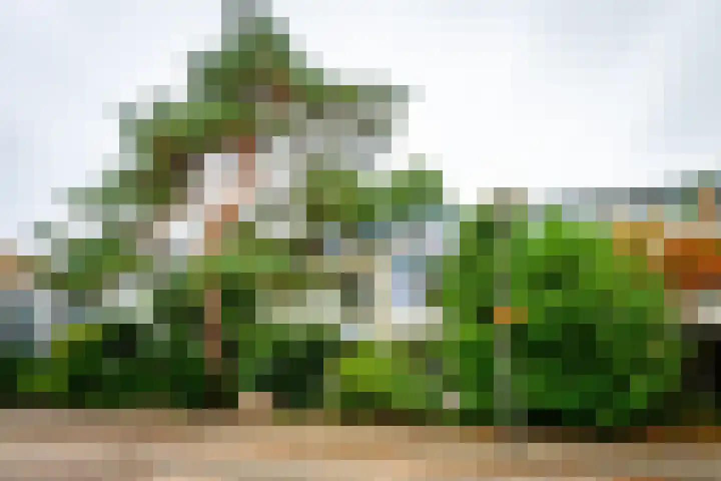 Jan Ligthartplein 51 Zeist thumbnail 35