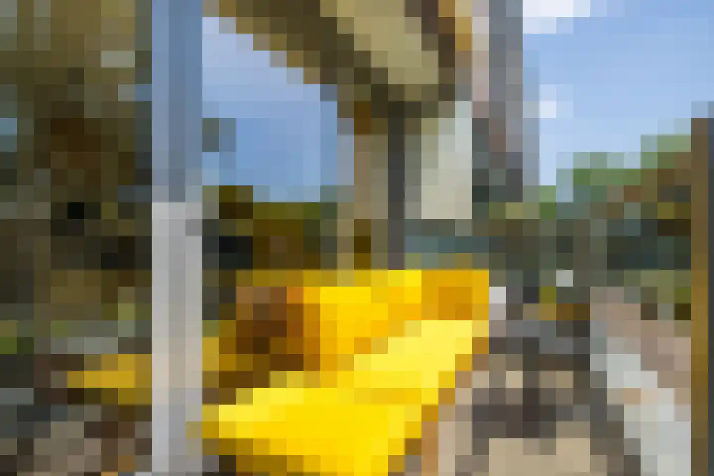 Jan Ligthartplein 7 Utrecht thumbnail 32