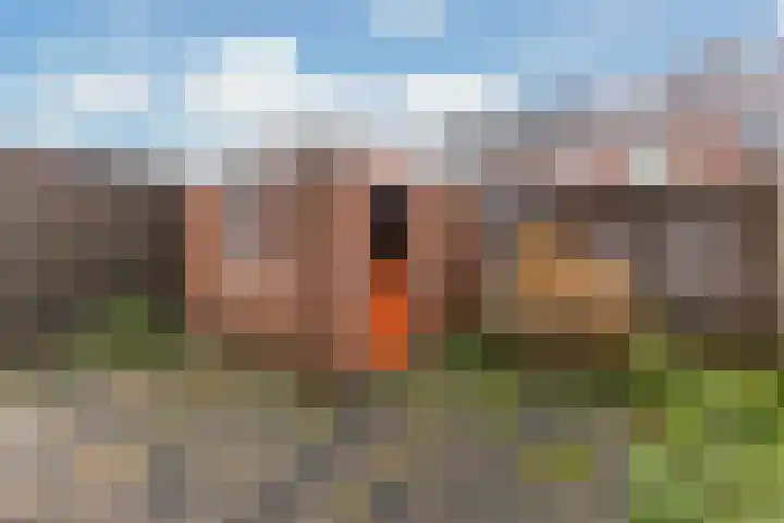 Jan Ligthartstraat 110 Heemskerk thumbnail 10