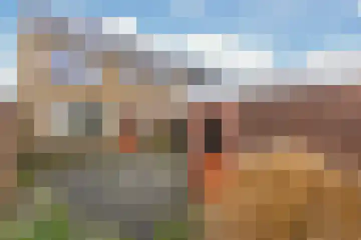 Jan Ligthartstraat 110 Heemskerk thumbnail 11
