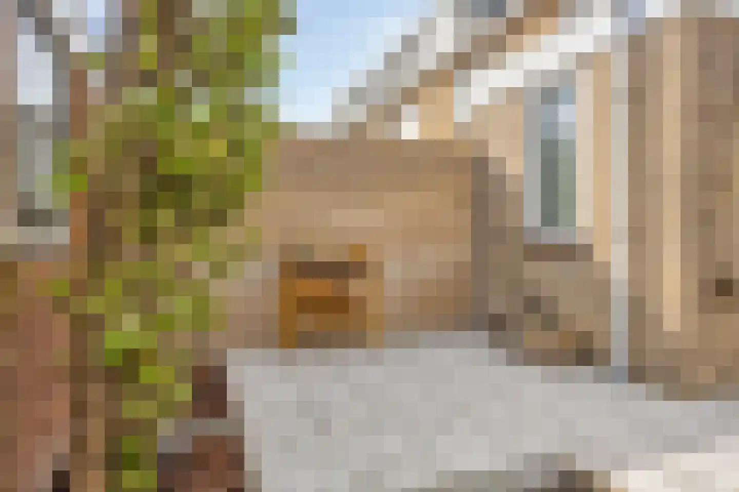 Jan Ligthartstraat 148 Heemskerk thumbnail 25
