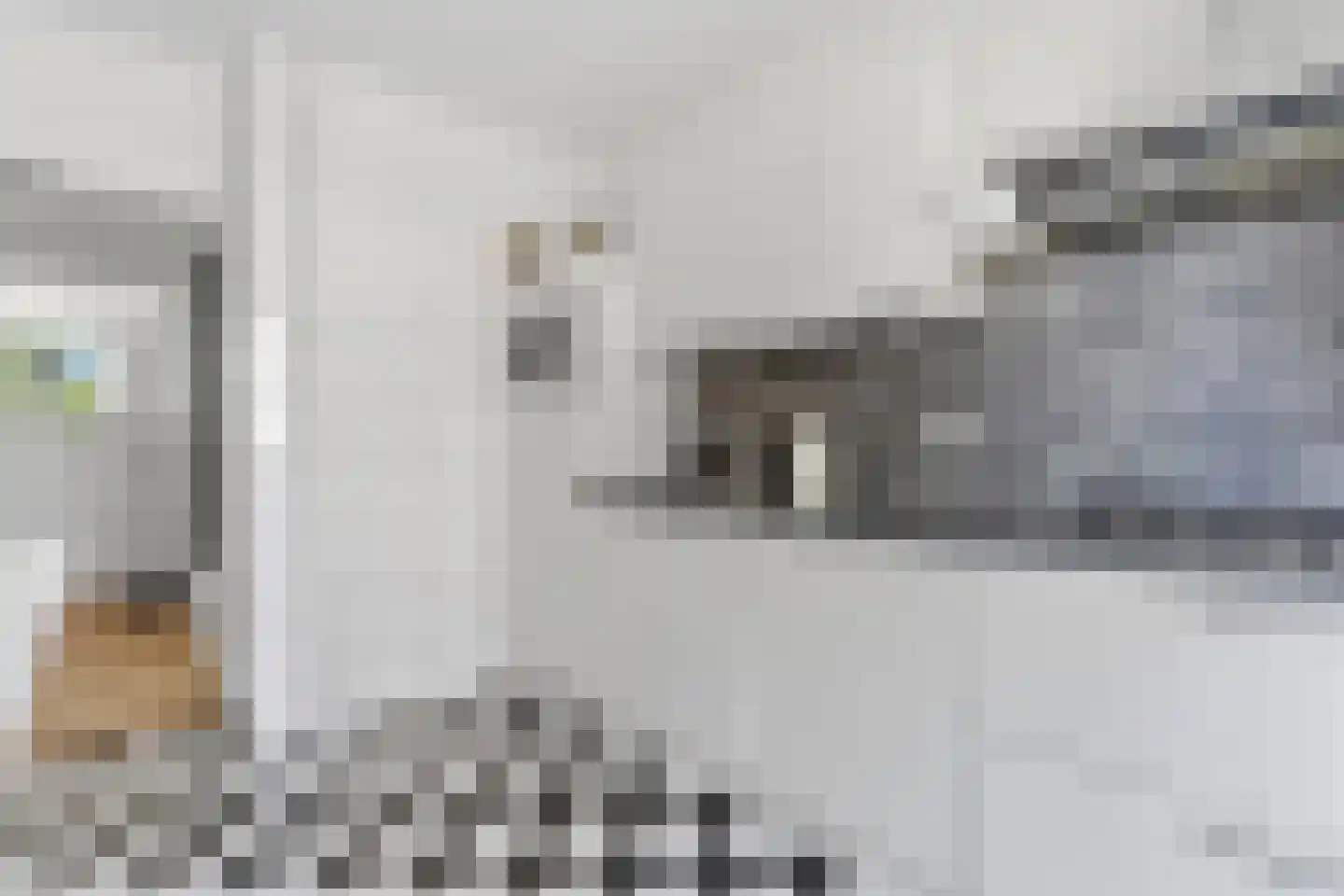 Jan Ligthartstraat 2 Voorburg thumbnail 13